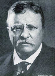 theodoreroosevelt2